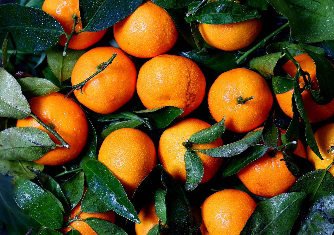oranges, fruits, citrus, vitamins, juicy, food, green, leaf, harvest, farm, wet, water, drops
, 