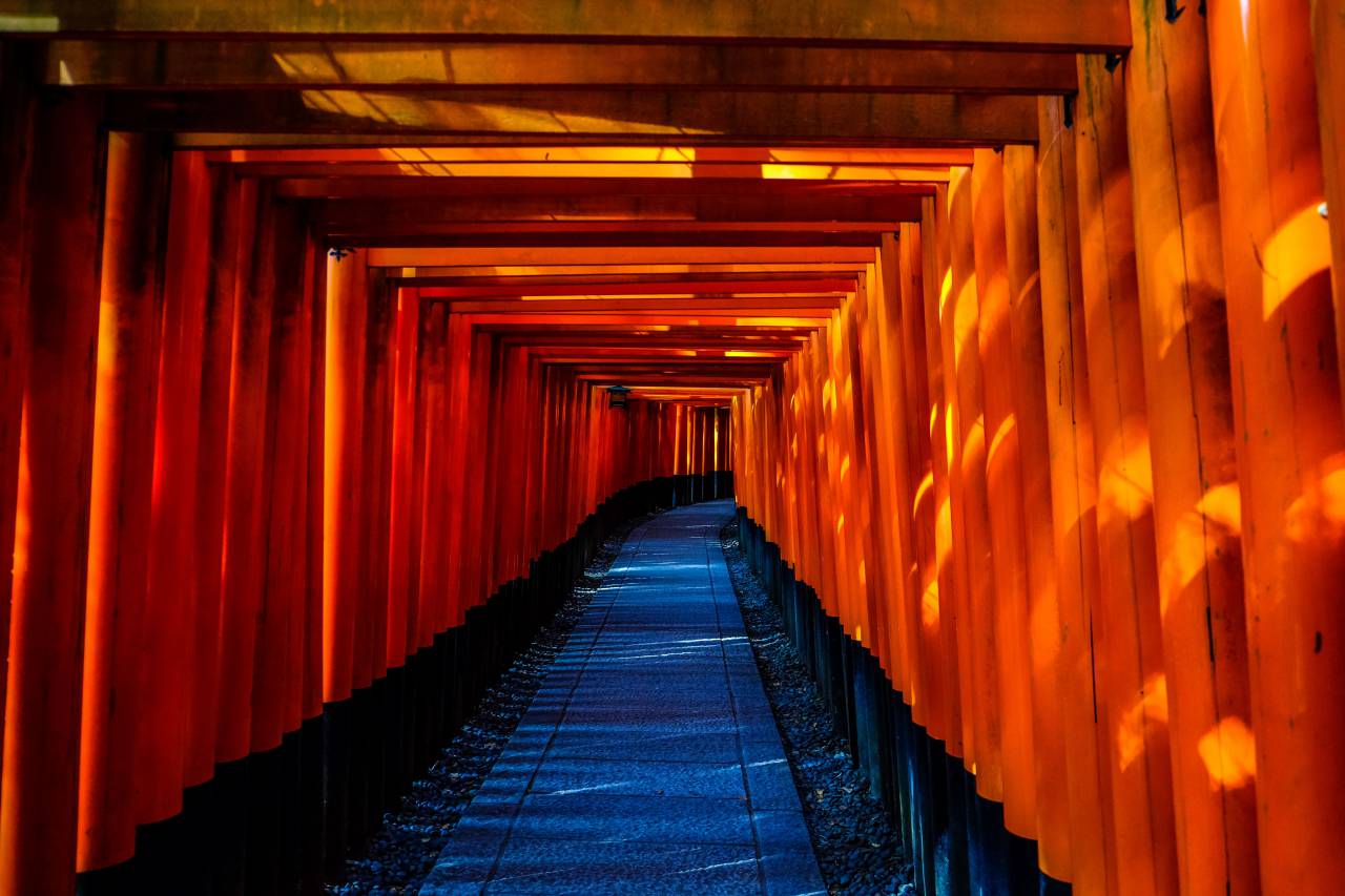 pathway, tunnel, pattern, gravel, torii, fushimi inari, shrine, kyoto, japan, travel, lamps, orange, vermilion, tourist spot, landmark
, 