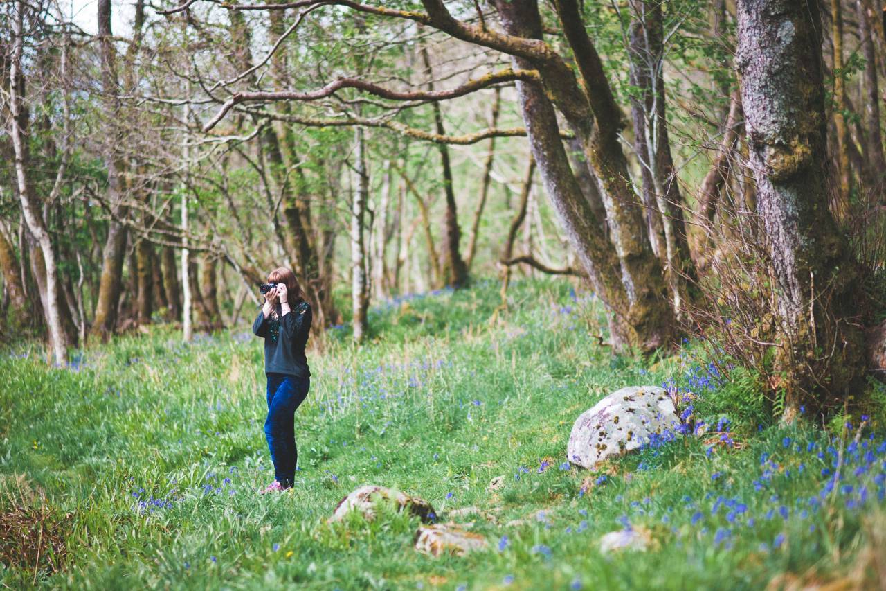 people, girl, woman, photographer, green, grass, trees, nature, outdoor, forest
, 