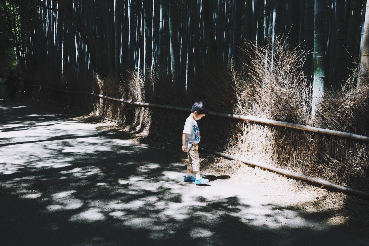 people, kid, boy, child, walking, alone, road, outdoor, sunny, day, shade, grass, trees, nature
, 