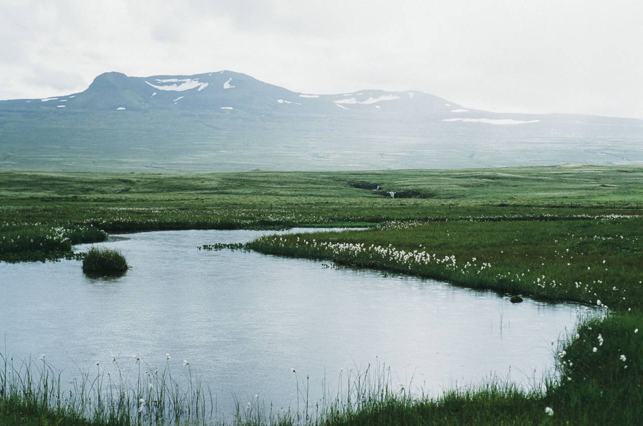 pond, water, fields, green, grass, mountains, hills, valleys, snow, peaks
, 