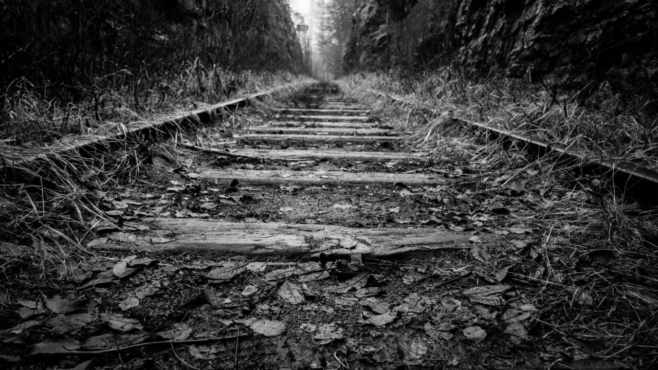 🥇 Image of rail trail train grass black and white wood forest - 【FREE ...