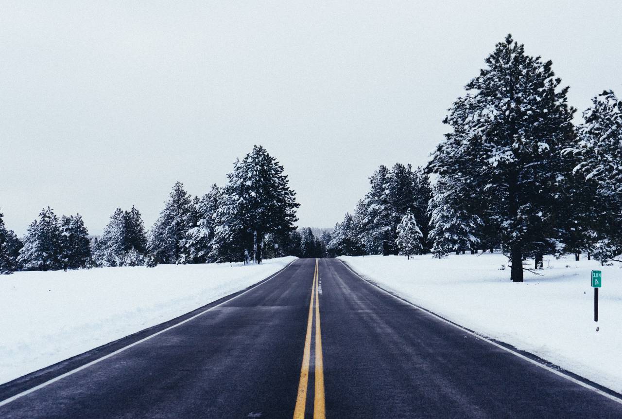 Carretera, viajes, aventuras, nieve, árboles, frío, clima, blanco