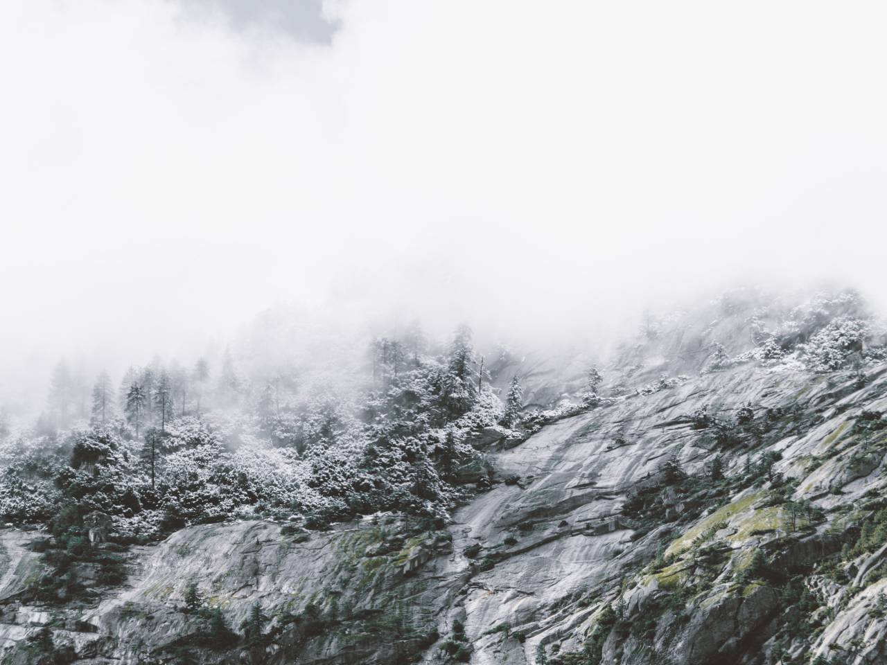 rocks, hill, highland, landscape, nature, trees, plant, nature, snow, winter, fog, cold, weather
, 