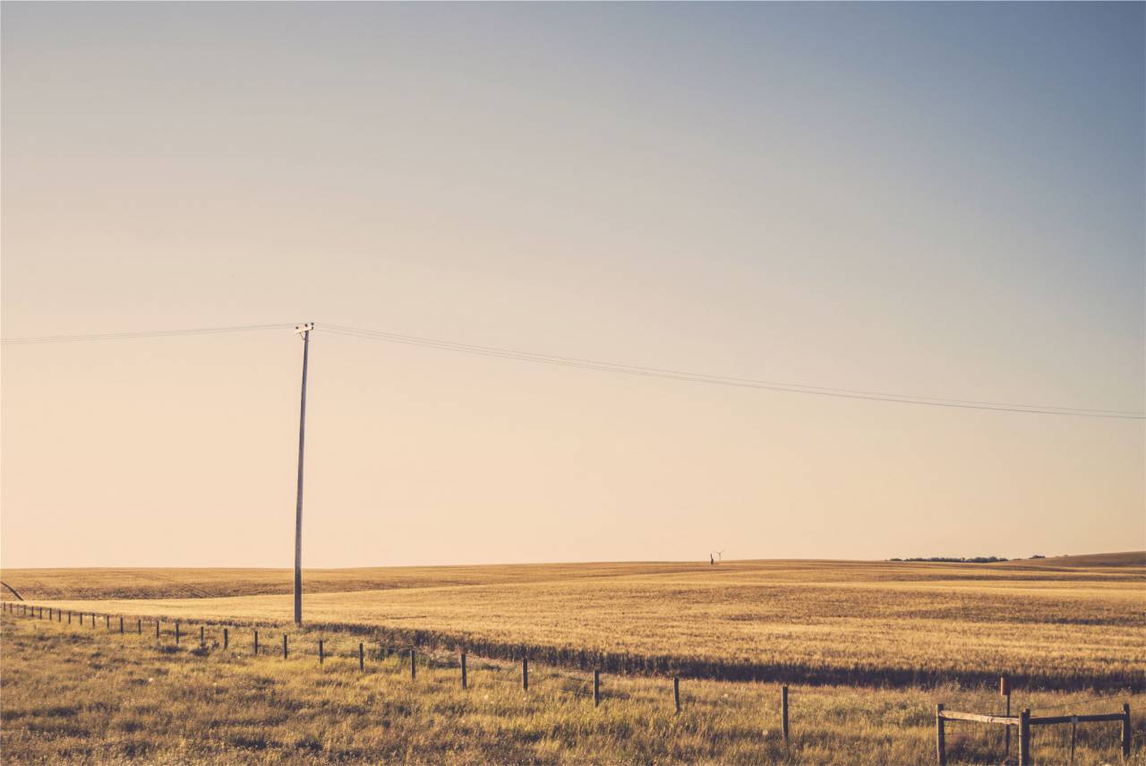 rural, fields, grass, power lines, sky
, 