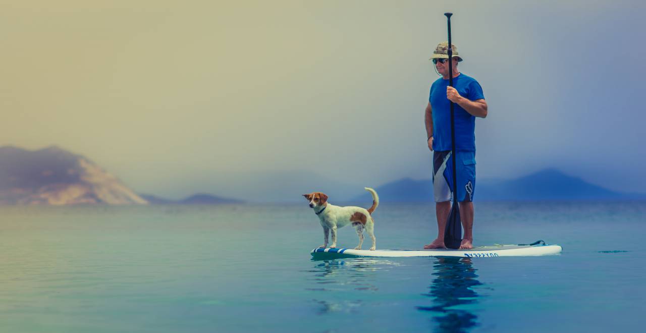 Mar, océano, agua, azul, cielo, difuminar, paleta, tablero, gente, hombre, mascota, perro, animal,