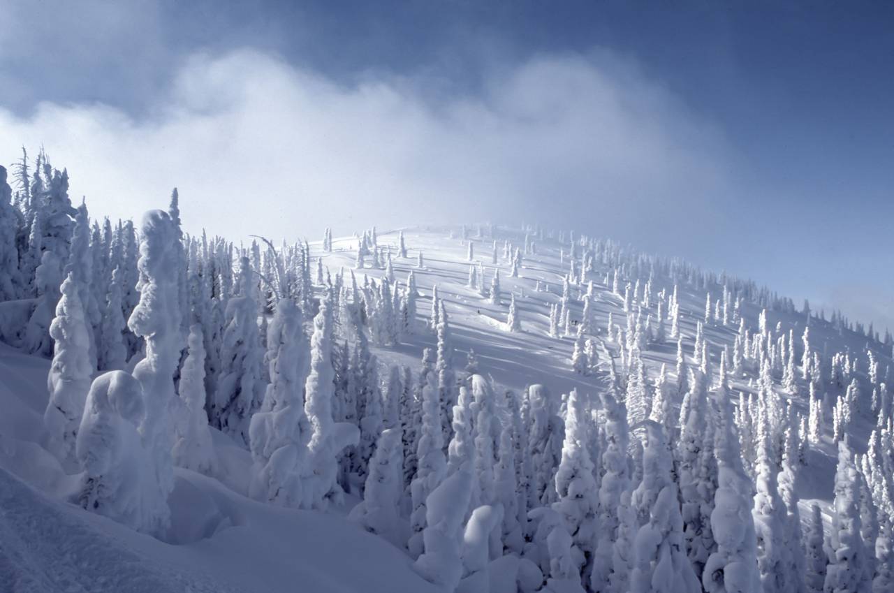 snow, winter, cold, weather, nature, outdoor, travel, mountain, trees, iceberg, clouds, blue, sky
, 