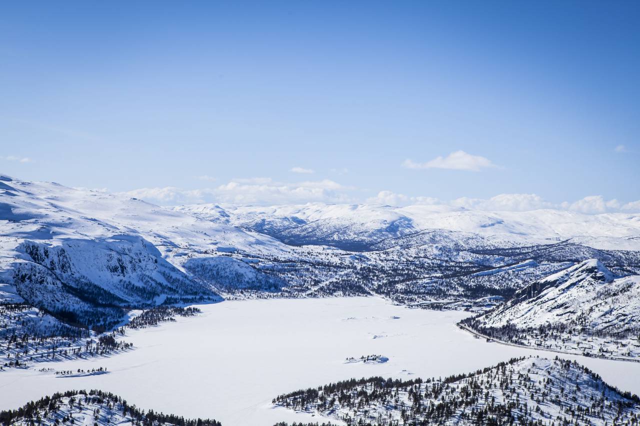 La nieve, el invierno, el blanco, el frío, el clima, el hielo, los árboles, las plantas, la naturaleza, la montaña,