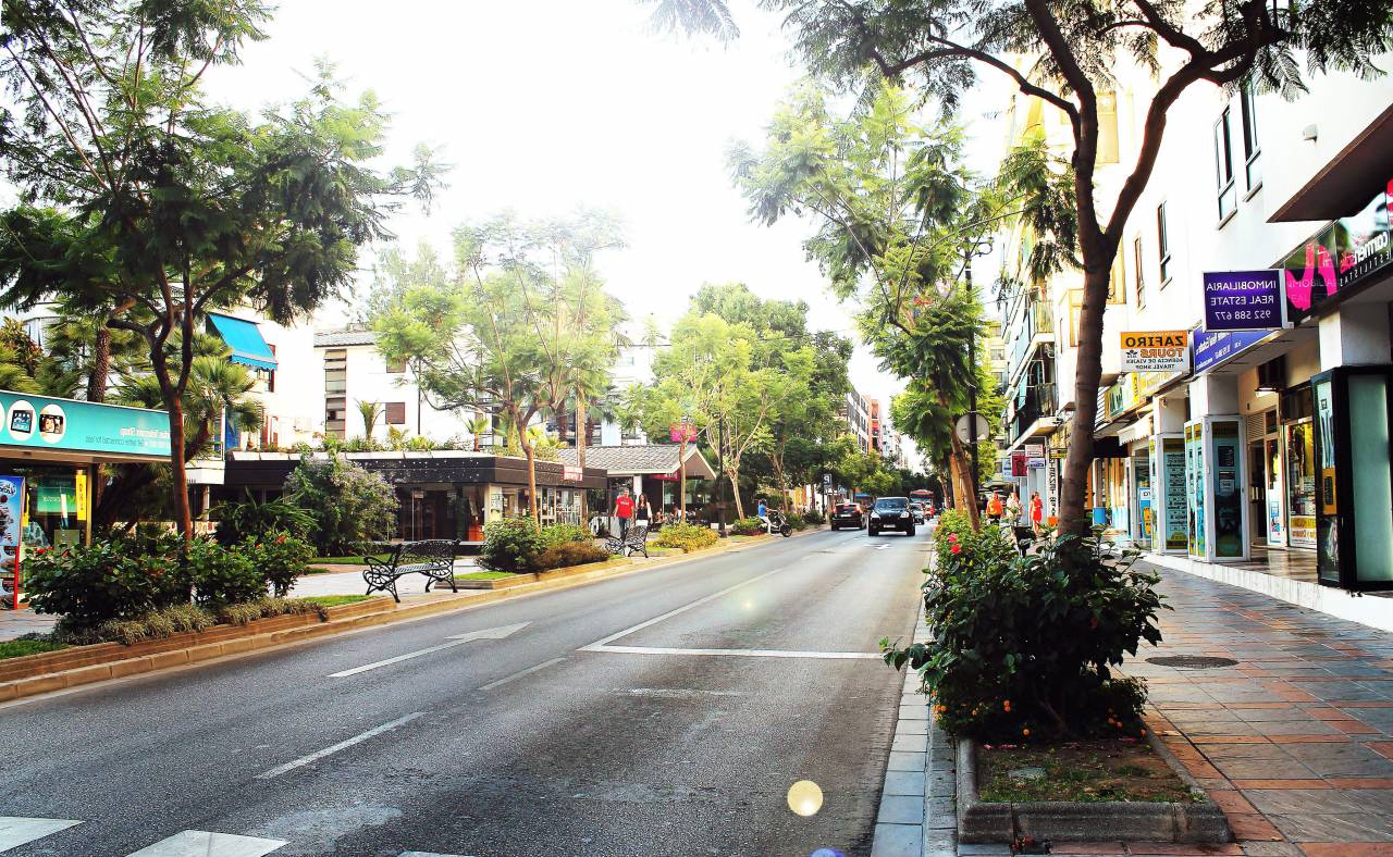 street, sidewalk, stores, shops, trees, road, city, urban
, 
