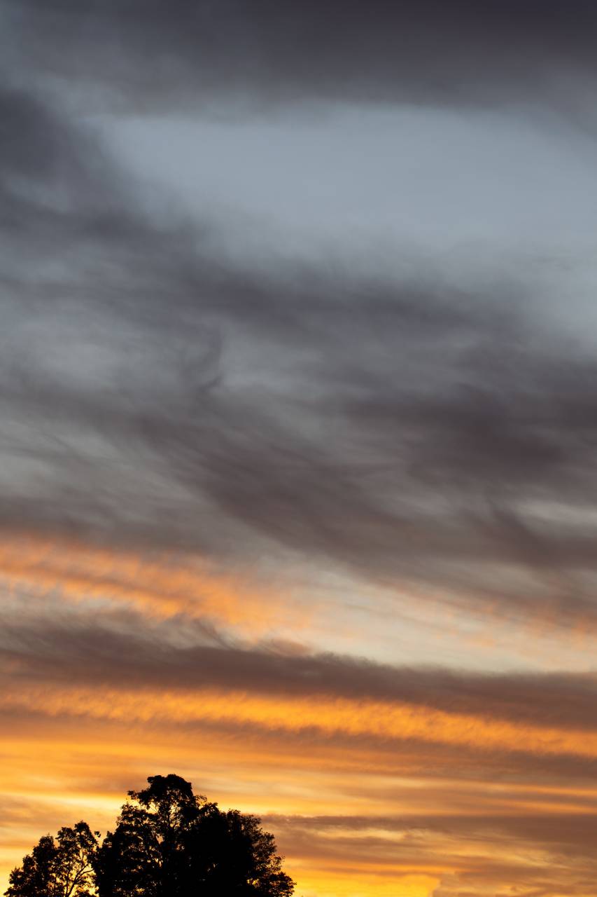 sunset, clouds, silhouette, nature, outdoors, dusk, sunlight, sky, warm, scenic, tree, dawn, atmosphere, golden
, 