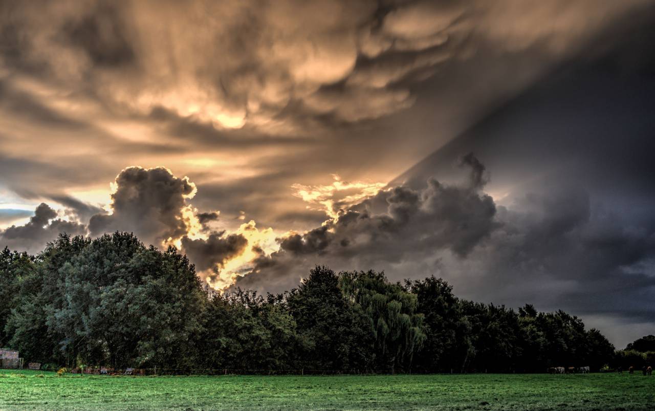 sol, rayos de sol, cielo, nubes, árboles, verde, hierba, hdr,