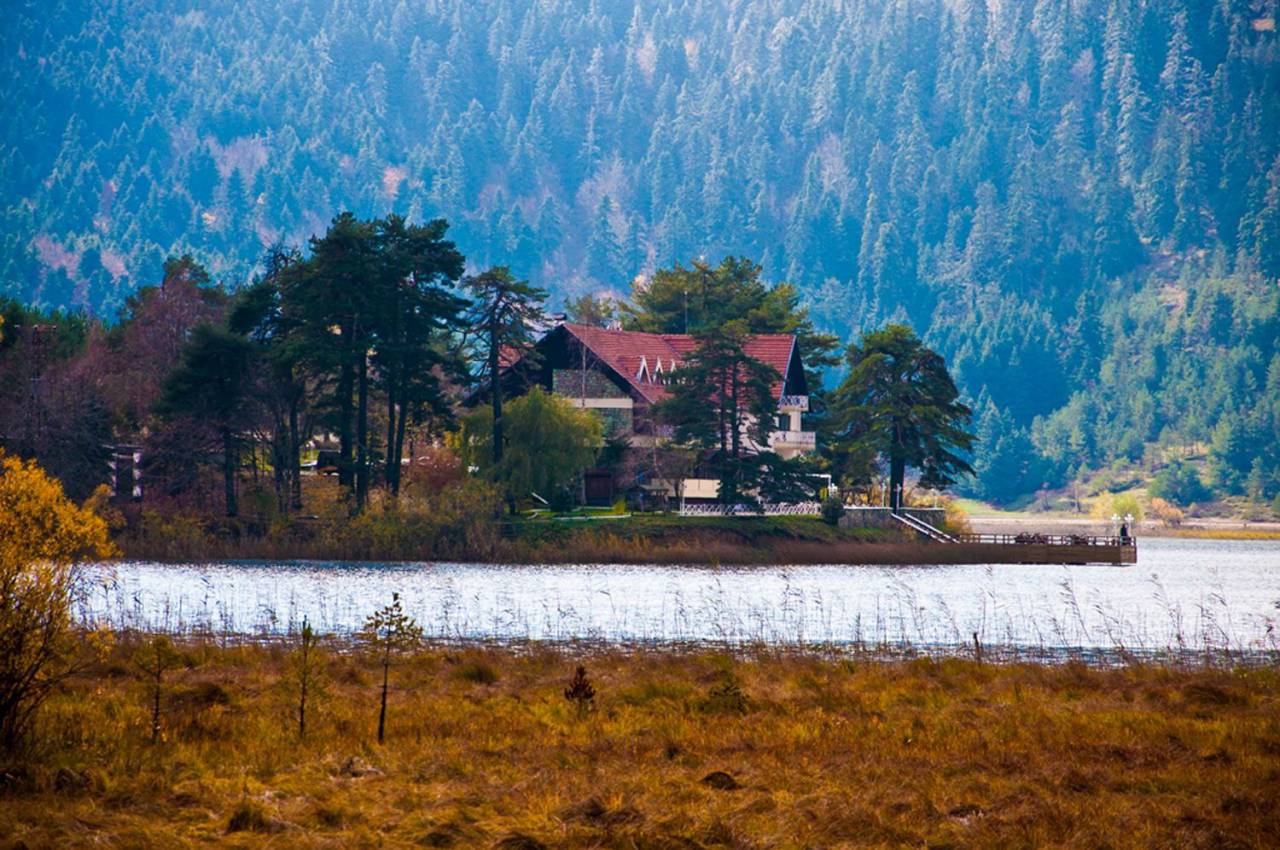 árvores, floresta, lago, água, casa, campos, grama, natureza, pacífico, isolado,