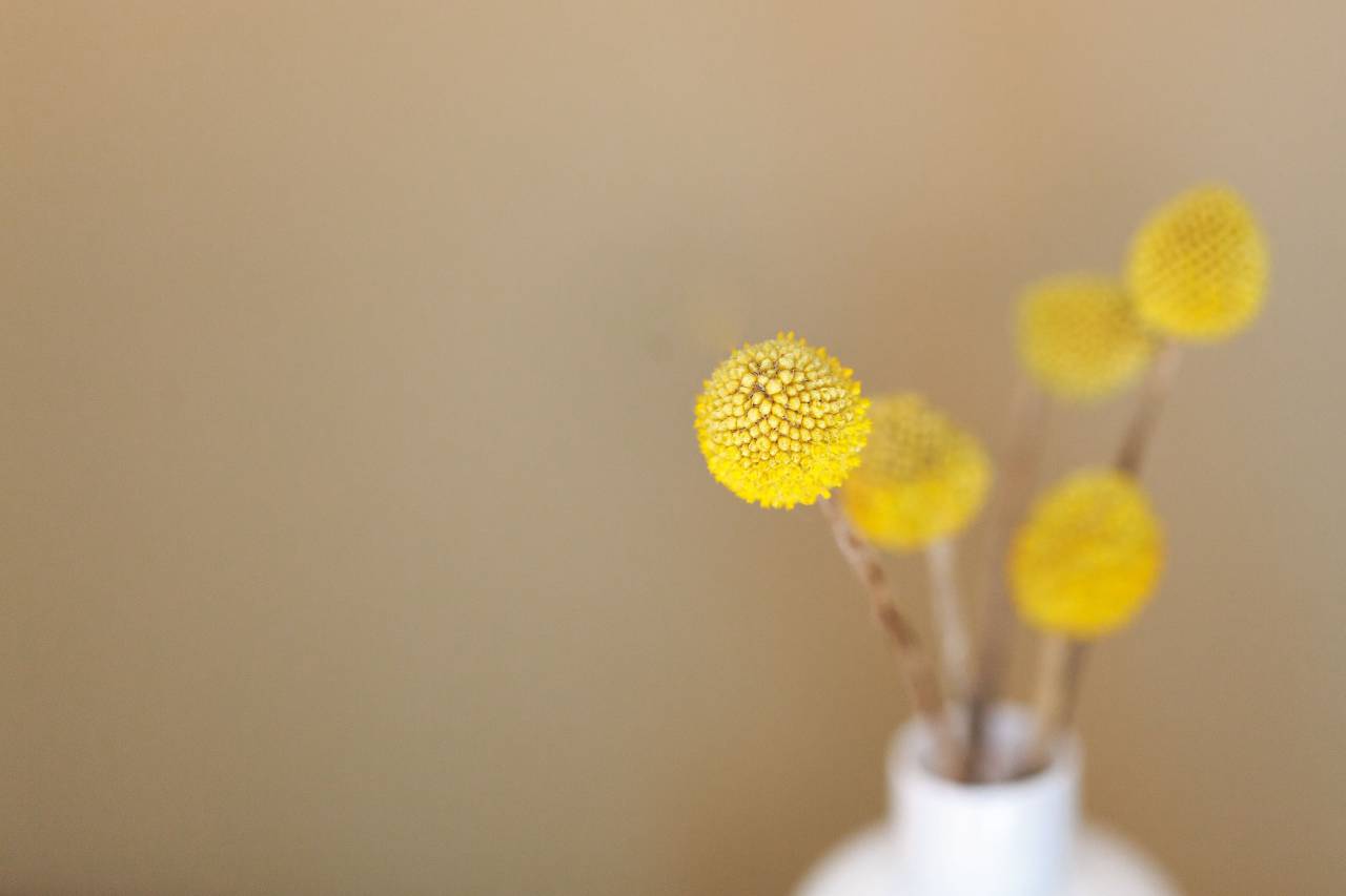 amarillo, flores, florero, decoración,