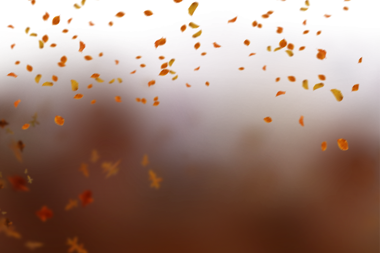 🥇 Image of Autumn Leaves celebration backgrounds multi colored png ...