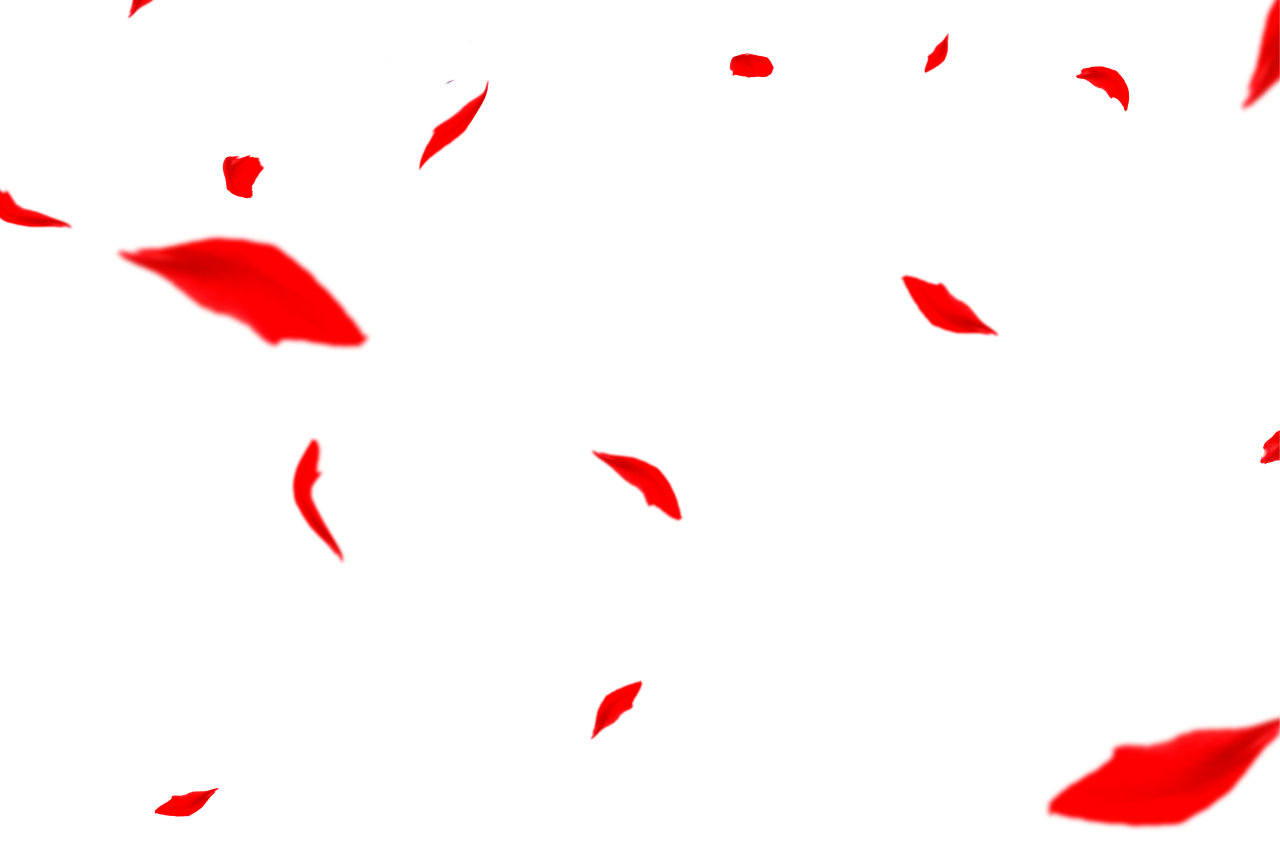  Autumn Leaves,png,overlay,symbol,vector,illustration,design,pattern,sign,backgrounds,collection