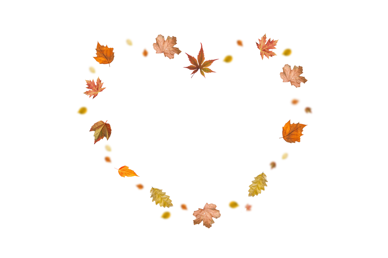  Autumn Leaves,png,overlay,illustration,design,backgrounds,vector,alphabet,decoration,symbol,education