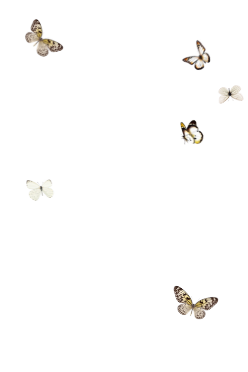  Butterfly,png,overlay,animal,insect,nature,isolated,butterfly,flying,collection