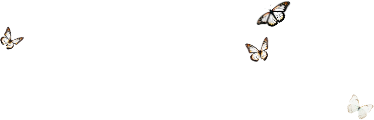  Butterfly,png,overlay,isolated,equipment