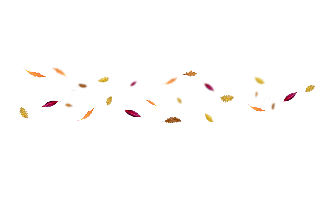  Autumn Leaves,png,overlay,vector,illustration,design,backgrounds,collection,symbol