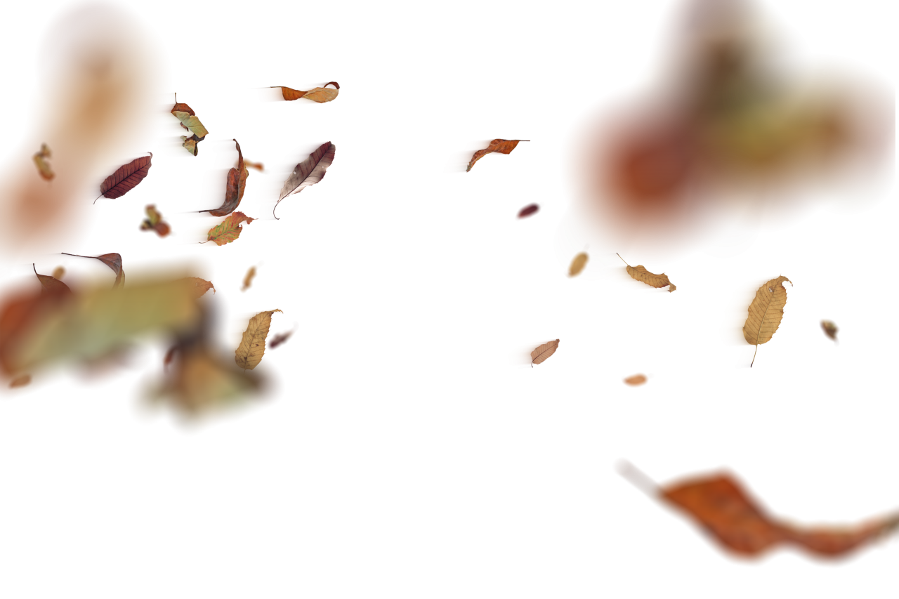 Folhas de outono, sobreposição, ilustração, planos de fundo, desenho, vetor, resumo