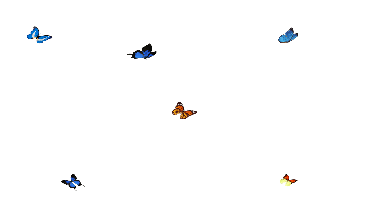  Butterfly,png,overlay,animal,nature,flying,backgrounds,insect,blue,illustration
