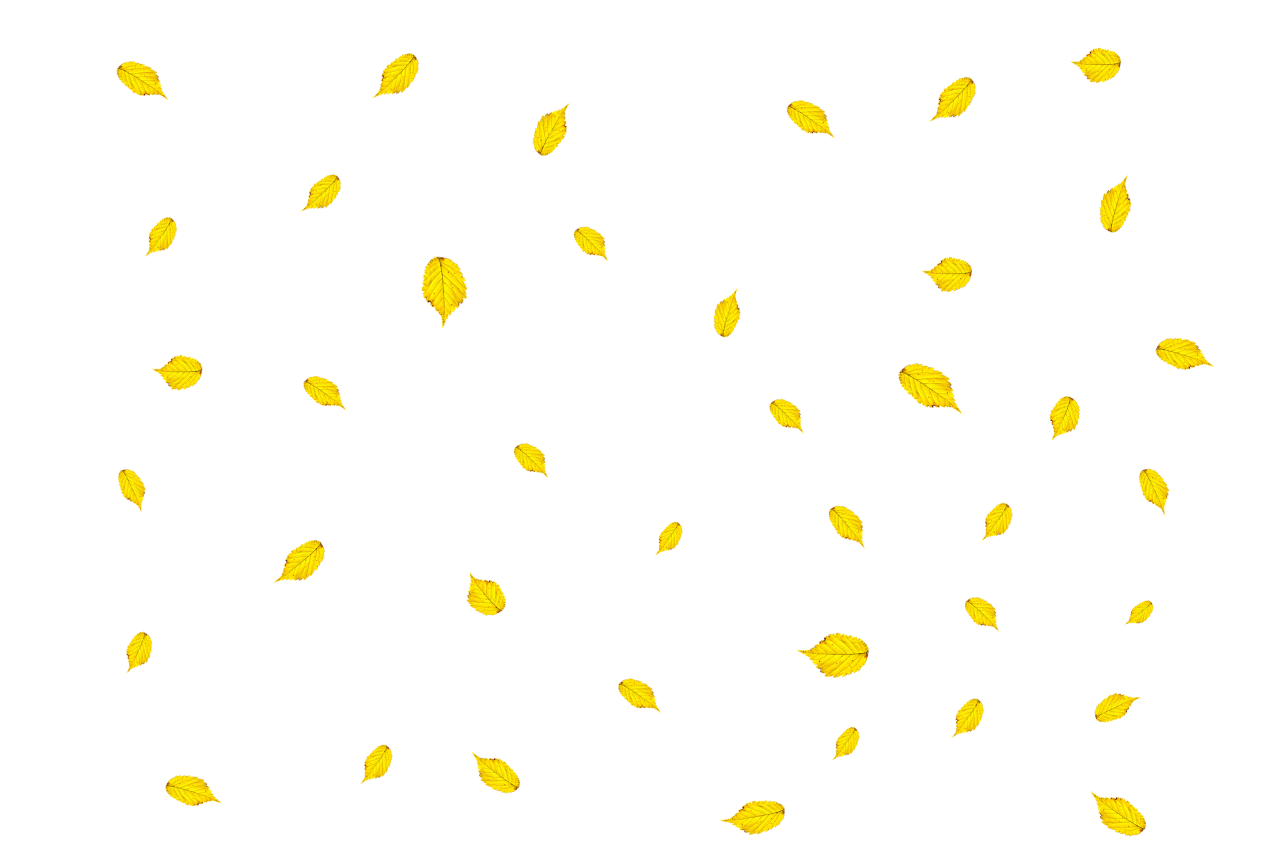  Autumn Leaves,png,overlay,vector,illustration,yellow,pattern,backgrounds,design,decoration,symbol