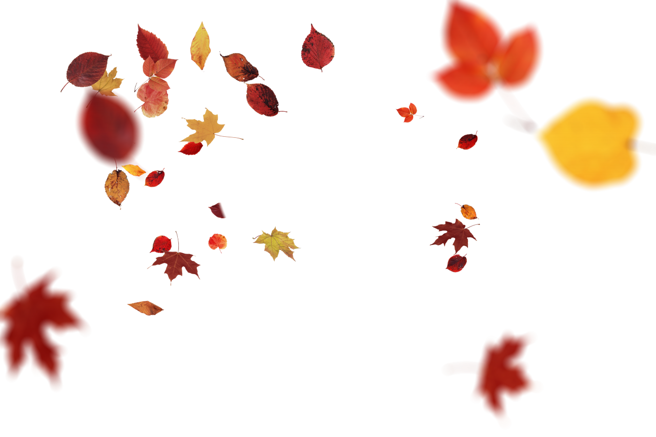  Autumn Leaves,png,overlay,illustration,backgrounds,vector,decoration,design,pattern,season,autumn,leaf,abstract,gift,celebration