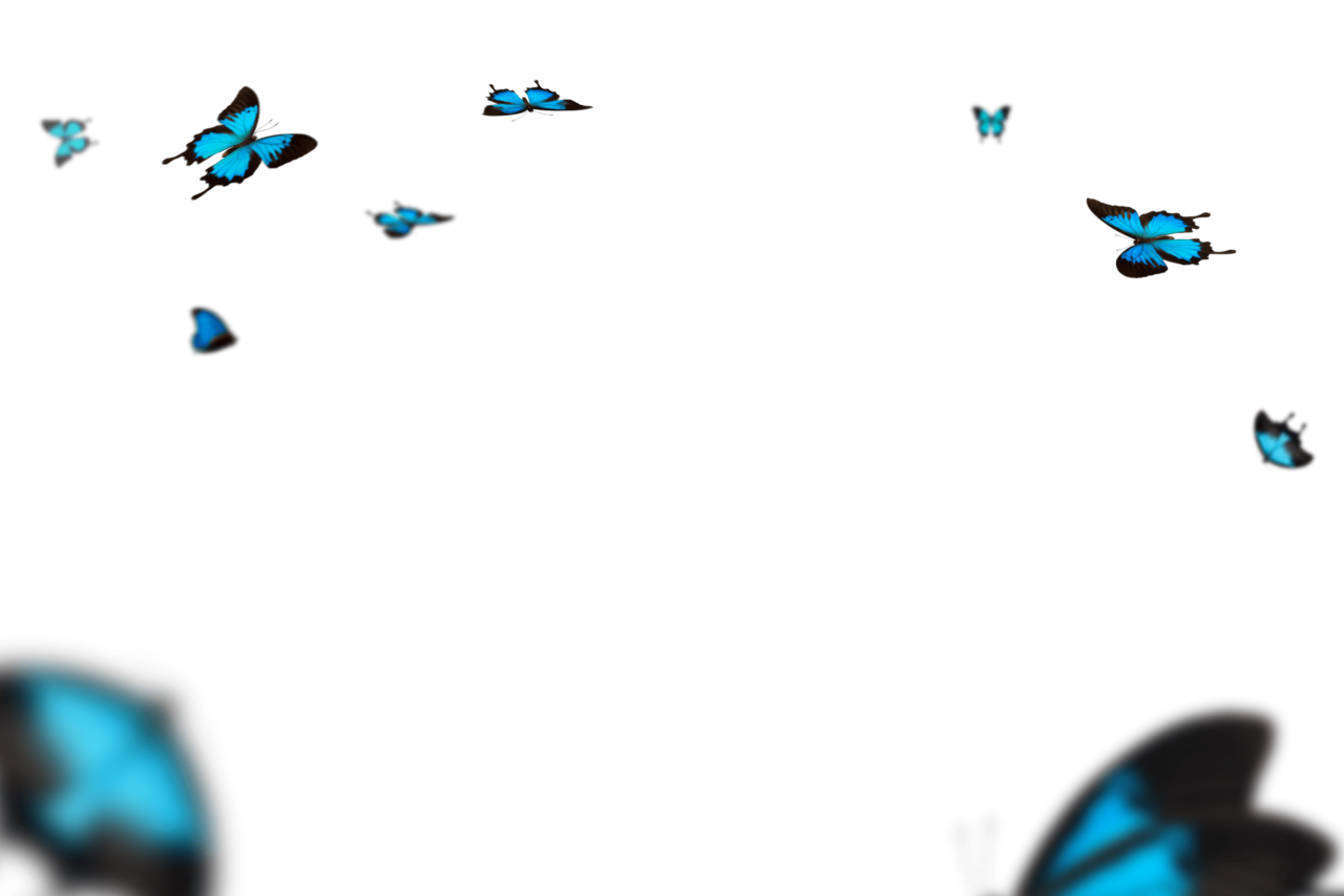  Butterfly,png,overlay,backgrounds,isolated,illustration,blue,abstract,design