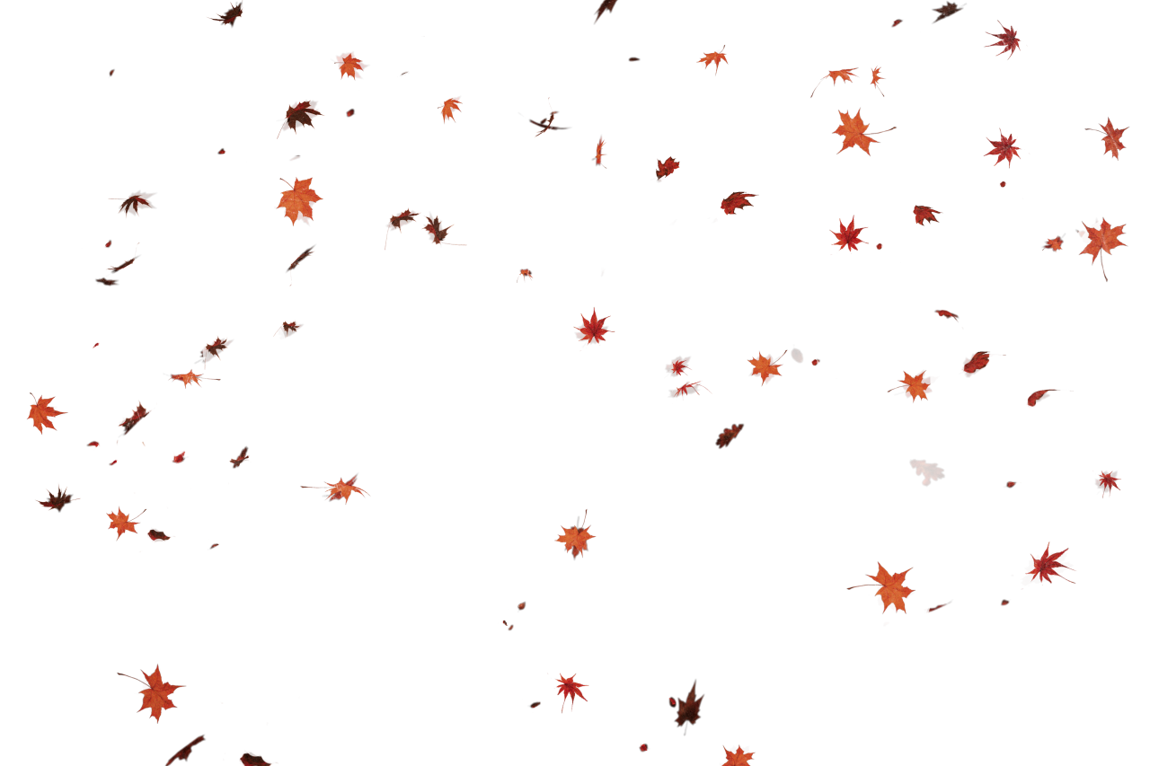  Autumn Leaves,png,overlay,pattern,backgrounds,abstract,backdrop,vector,design,illustration,decoration,shape