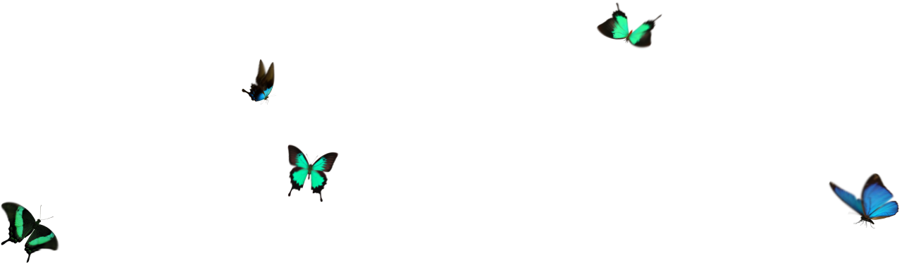  Butterfly,png,overlay,illustration,isolated