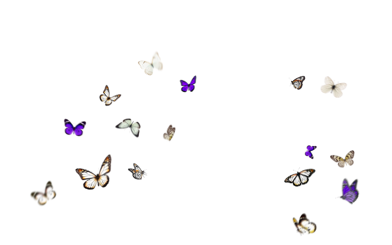 Borboleta, png, sobreposição, isolado