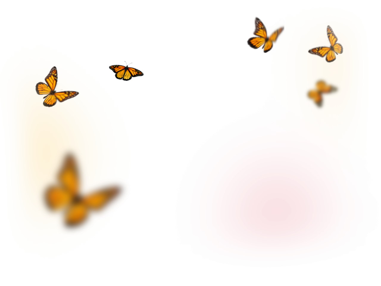  Butterfly,png,overlay,insect,animal,nature,butterfly,flying,illustration,backgrounds,vector,abstract,flower,summer,pattern,yellow,decoration