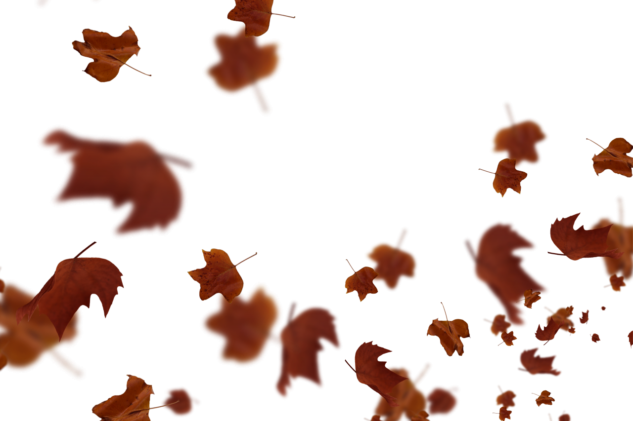  Autumn Leaves,png,overlay,illustration,vector,backgrounds,pattern,design,backdrop,abstract