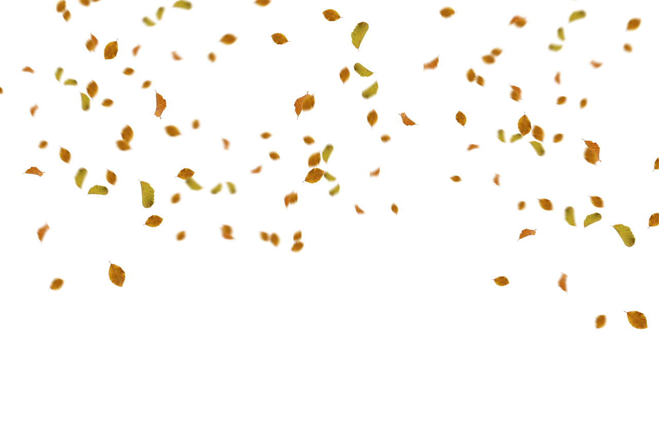 Hojas de otoño, png, superposición, fondos, resumen, patrón, ilustración, vector, telón de fondo, diseño, forma, fondo de pantalla