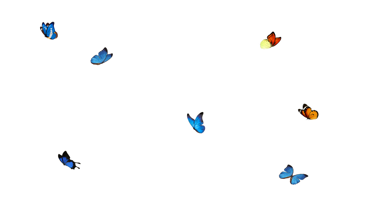  Butterfly,png,overlay,flying,animal,nature,insect,collection,backgrounds,illustration,pattern,abstract,vector,blue