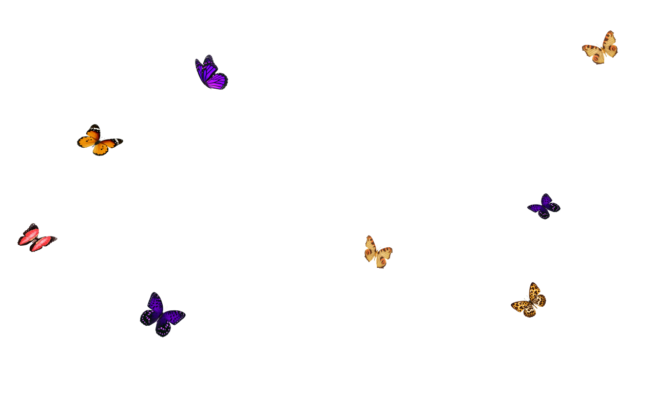 🥇 Image of vector animal Butterfly png overlay illustration design ...