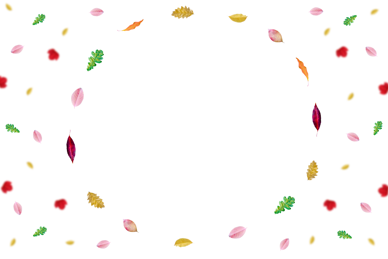  Autumn Leaves,png,overlay,backgrounds,abstract,illustration,vector,design,decoration,pattern
