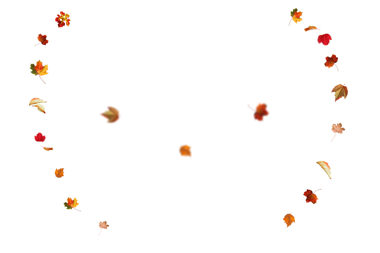  Autumn Leaves,png,overlay,illustration,design,vector,symbol,collection,icon