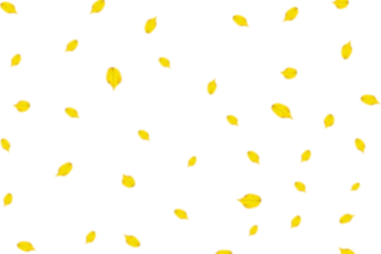  Autumn Leaves,png,overlay,backgrounds,pattern,yellow,nature,abstract,illustration,decoration,design,backdrop,vector,close-up
