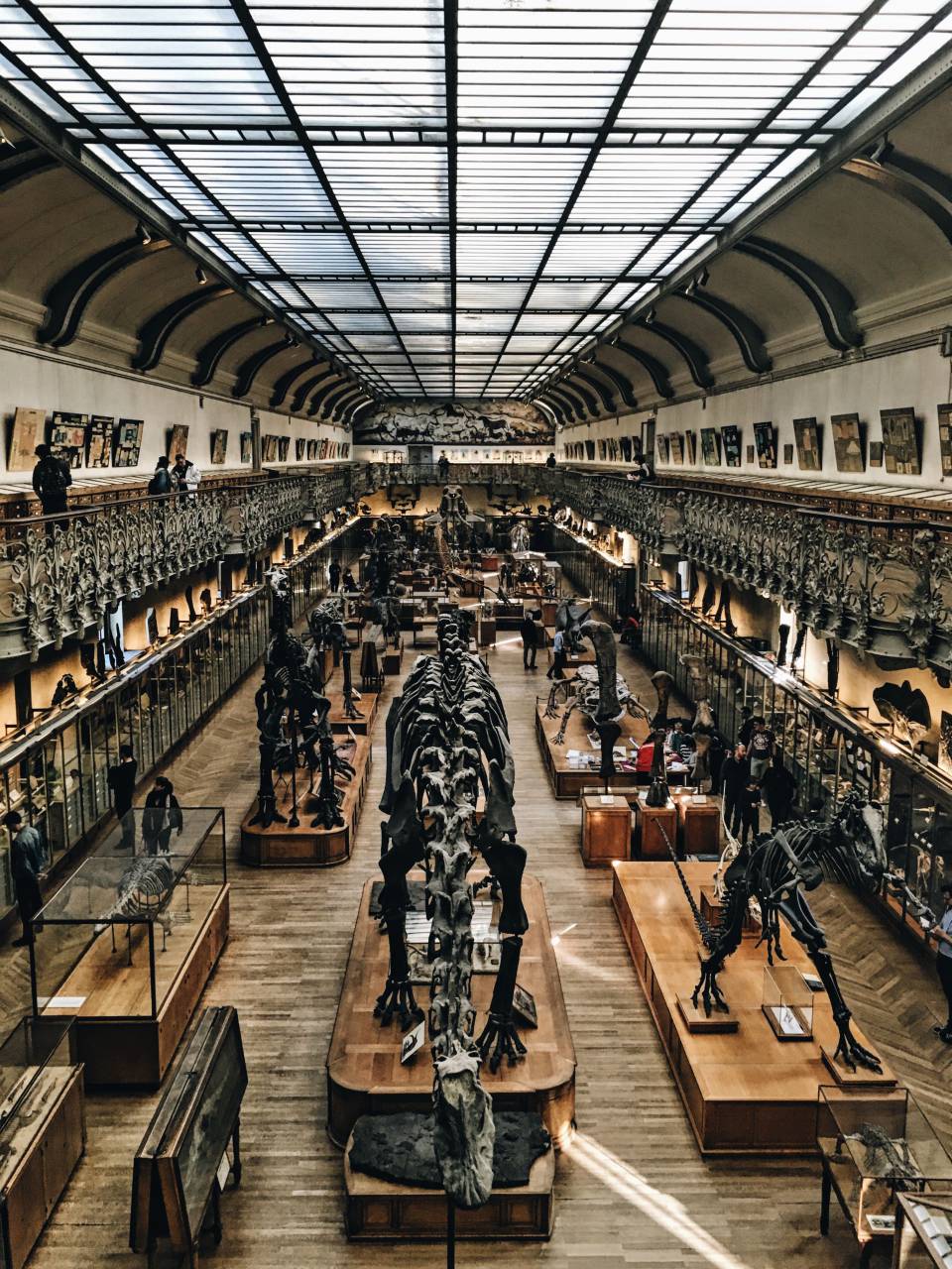 architecture, building, structure, establishment, ceiling, museum, statue, wood
, 