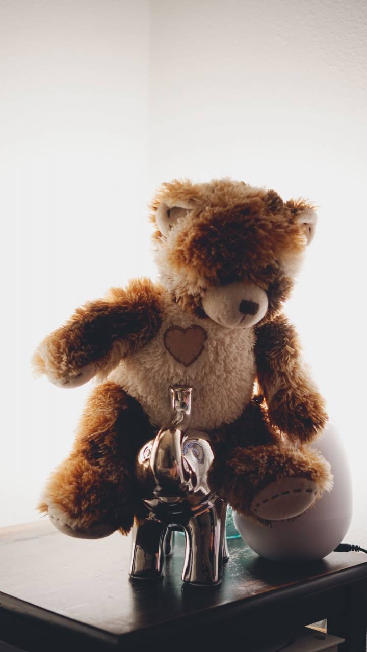 Bear, Elephant, brown, white, ride, heart, toy, heart, bike, bicycle
, 