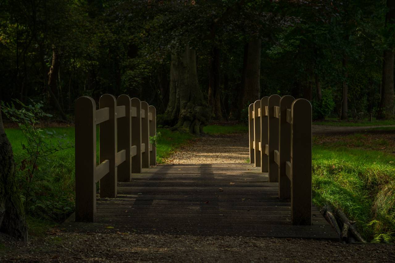 Bridge, park, autum, wood, grass, nature, outdoors, dark, night, evening, lights, path, trail, walkway, trees
, 