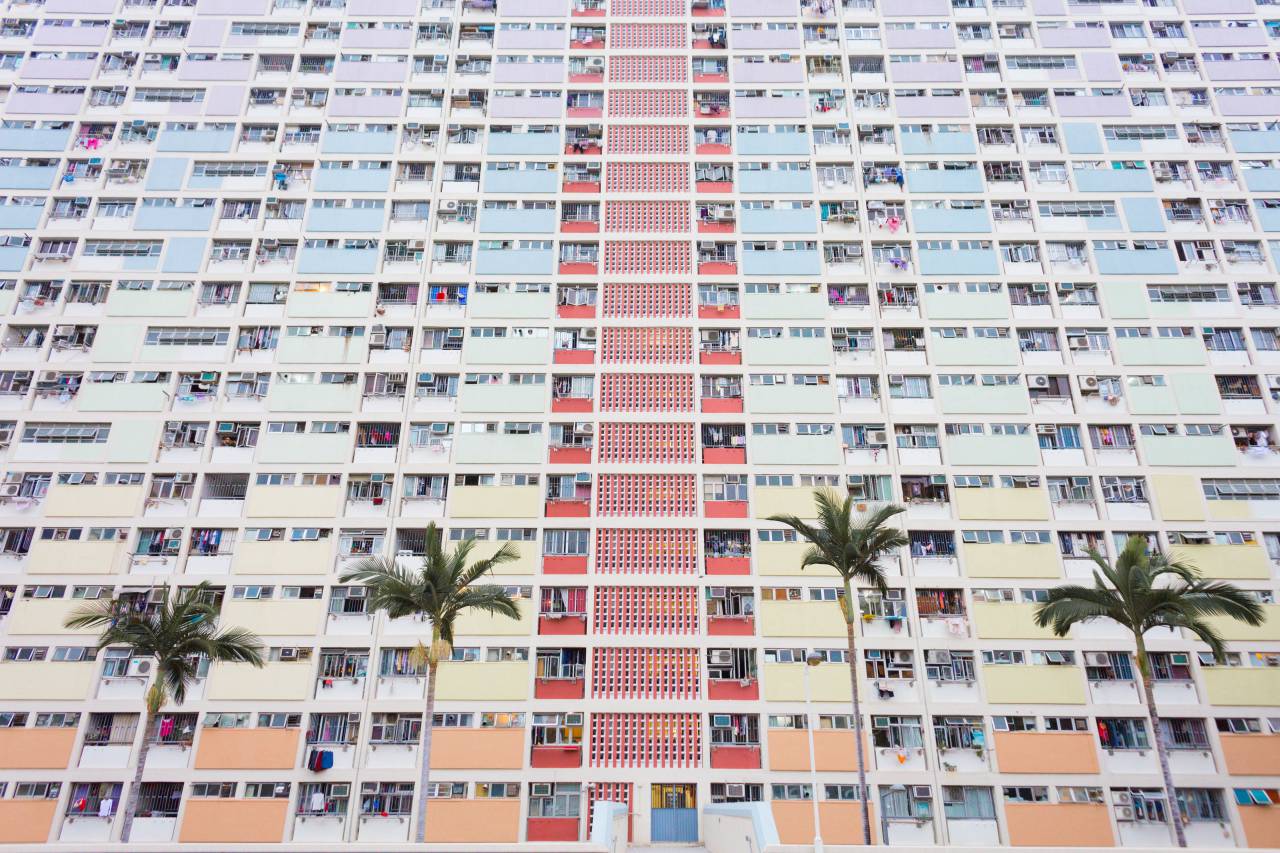 edifício, arquitetura, apartamento, condomínio, cidade, urbano, palmeiras,