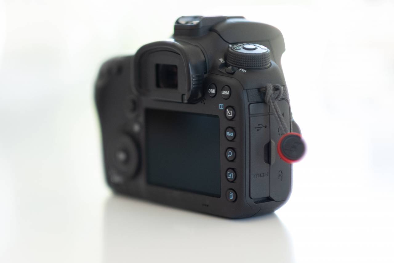 câmera, corpo, fotografia, tecnologia, digital, estúdio, profissional, equipamento, slr, dslr, 35 mm, mínimo, isolado, tela, voltar, botões, engrenagem, visor,