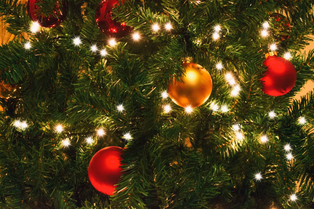 Navidad, luces de Navidad, árbol, chucherías, color, decoración, verde, rojo, estacional, festivo,