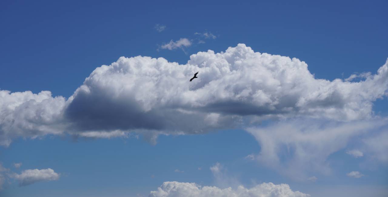 nubes, pájaro, volador, cielo, vuelo, silueta, fondo, mínimo, azul, alas, naturaleza, celaje, animal,