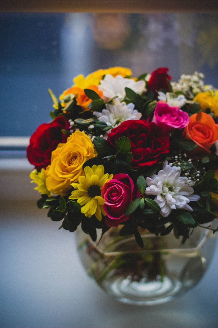 colorful, flower, plant, nature, petals, jar, vase, display
, 