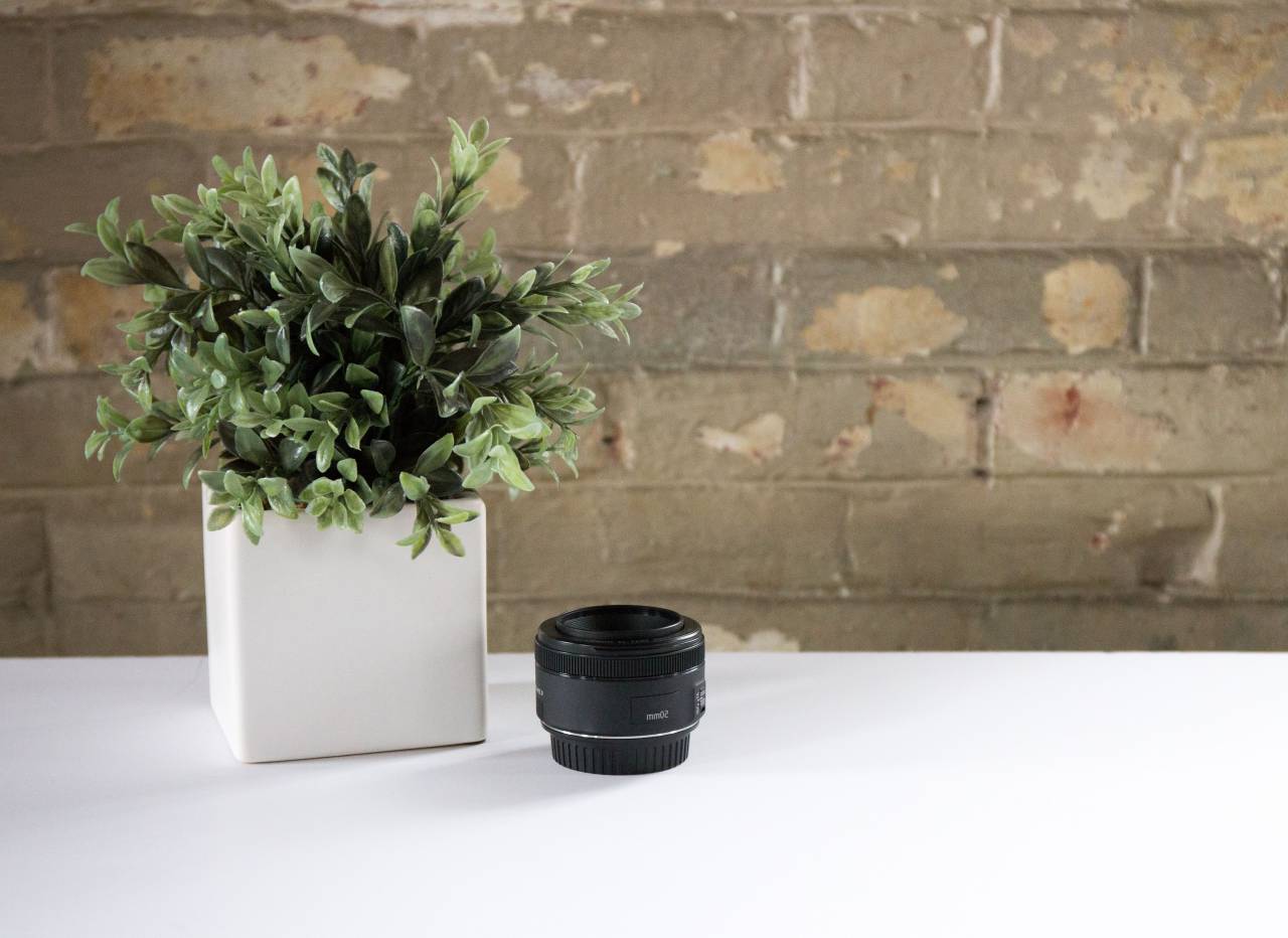 desk, plant, camera, lens, equipment, brick, indoors, office, business, studio, freelance
, 