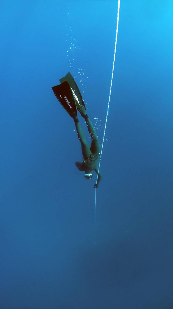 diver, sea, deep, ocean, wet suit, flippers, dive, nature, blue
, 