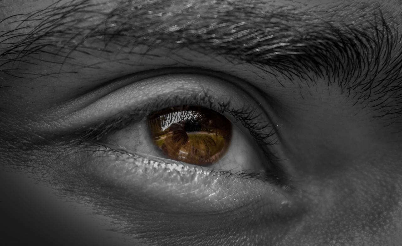 ojos, globo ocular, ceja, pupila,